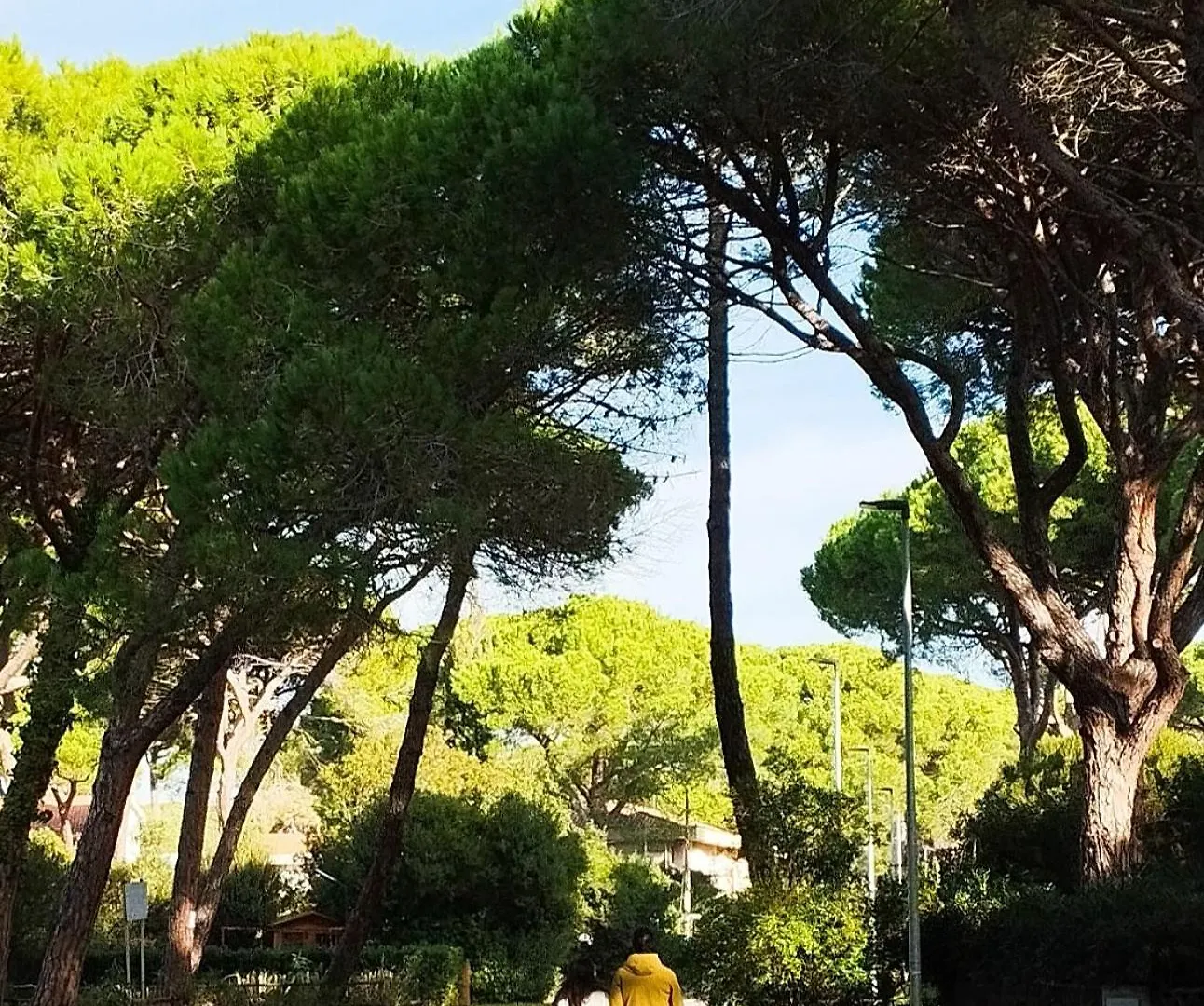 Casa Ricciola Apartment Principina a Mare